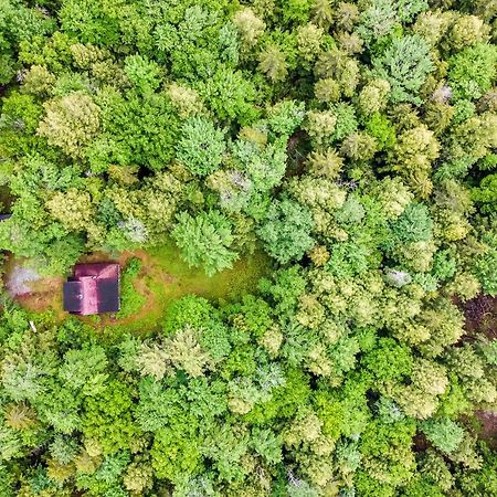 Lost Pond Cabin Schroon Lake Exteriör bild